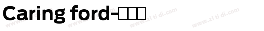 Caring ford字体转换
